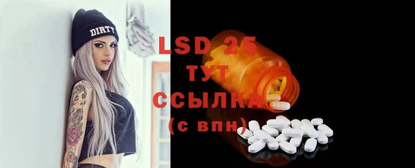 mix Богородицк
