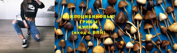 mix Богородицк